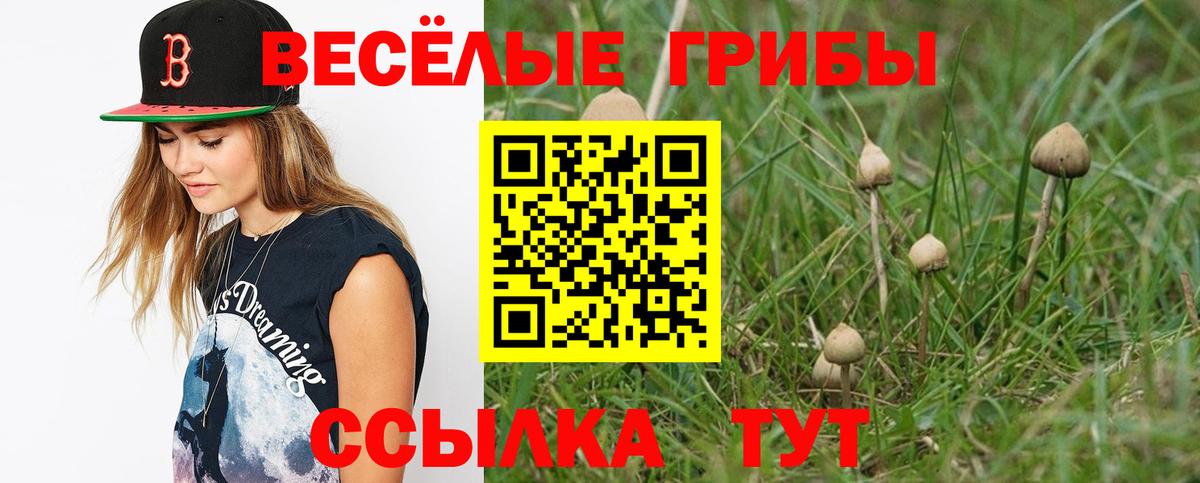 Урай  Псилоцибиновые грибы MAGIC MUSHROOMS  Вход с VPN 