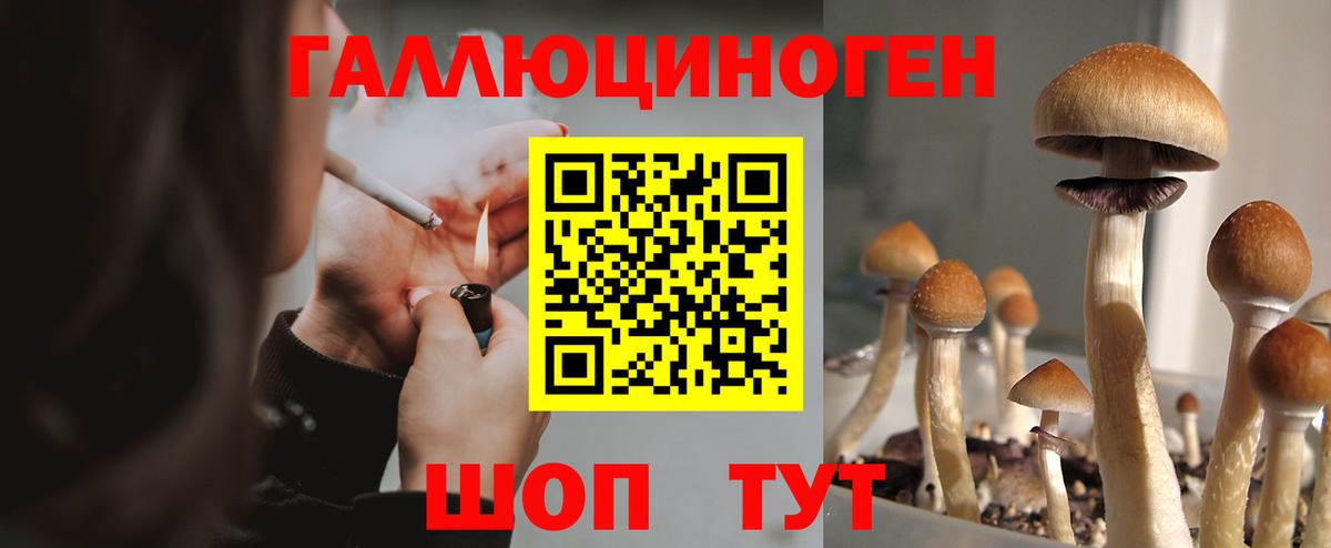 Галлюциногенные грибы мицелий Урай